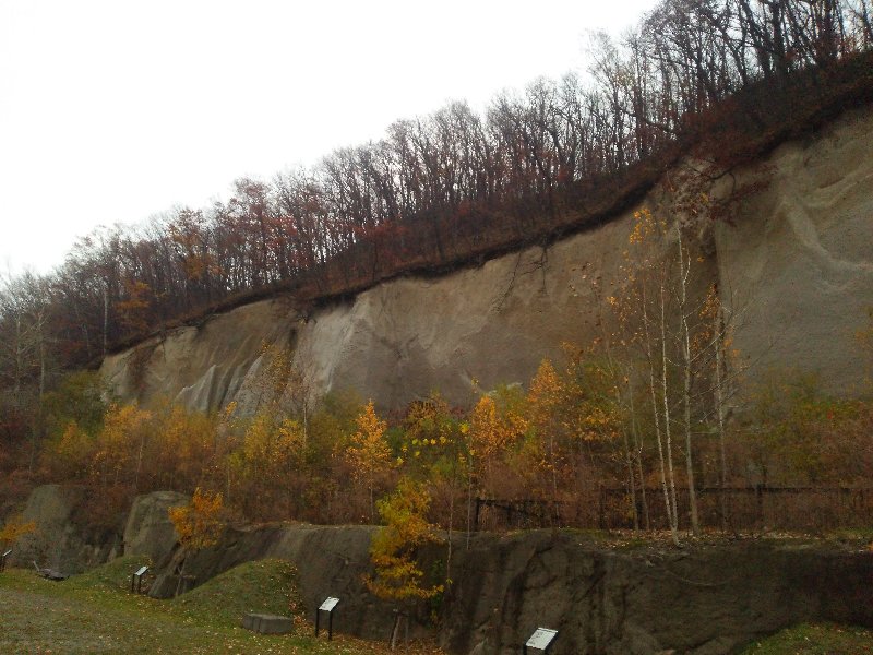 b0128821_17414682.jpg