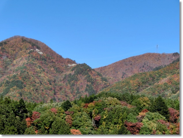 f0182121_1585464.jpg