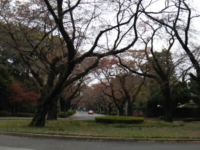 f0106823_8432972.jpg