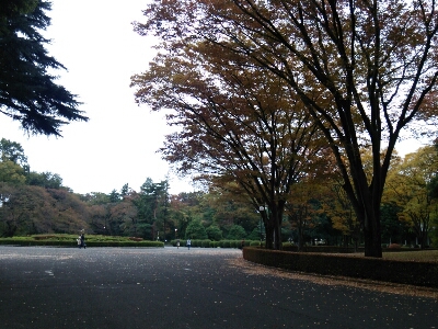 f0106823_8433829.jpg