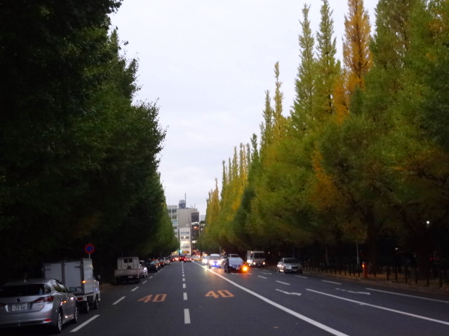 e0016828_1112689.jpg