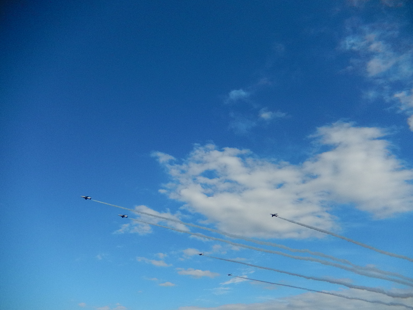 e0166032_20095302.jpg