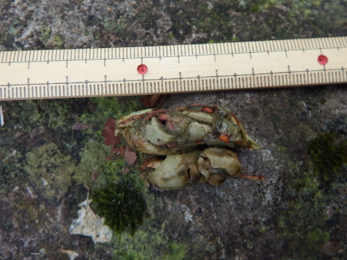 f0118332_00004985.jpg