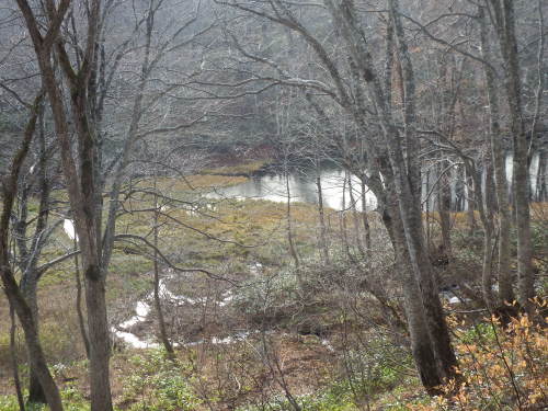 f0118332_00015017.jpg