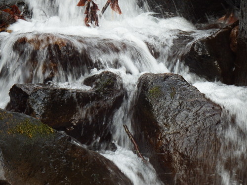 f0118332_00020788.jpg