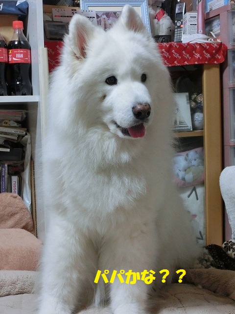 e0196135_13343595.jpg