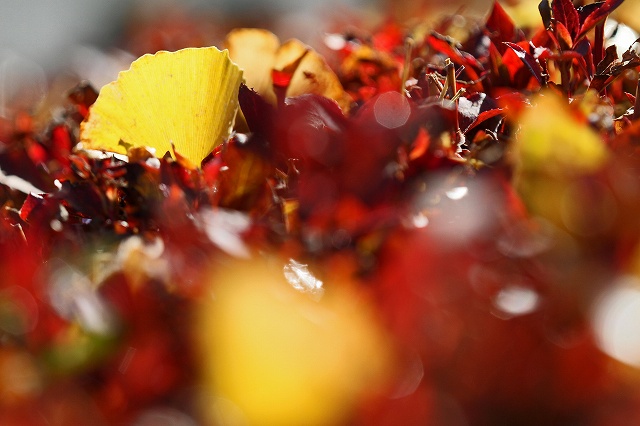 a0242438_1821927.jpg