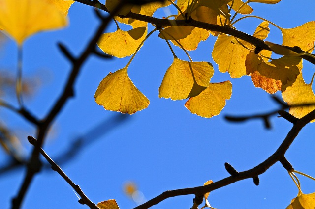 a0242438_18246.jpg