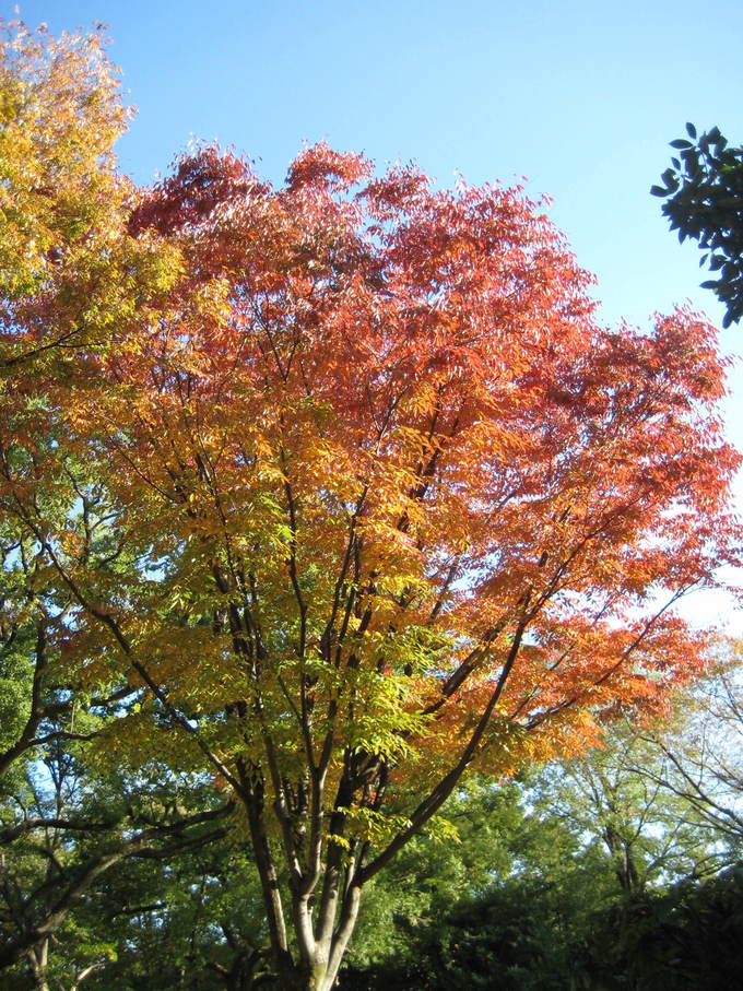 f0247039_12435097.jpg