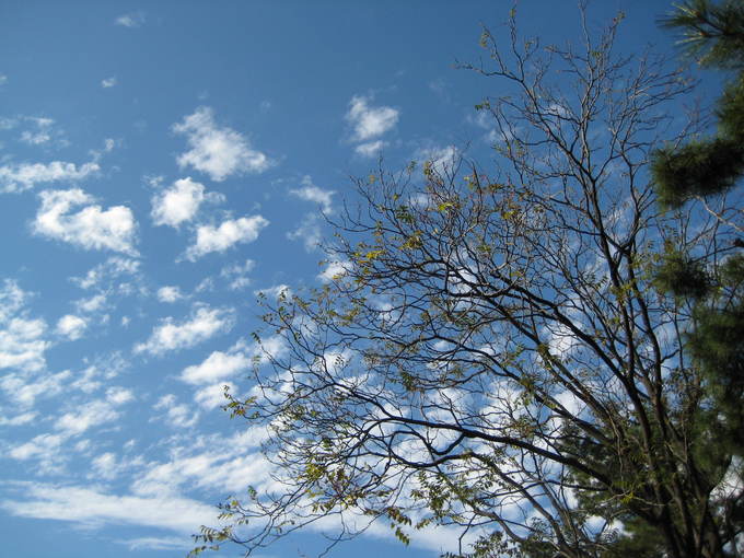 f0247039_12444556.jpg