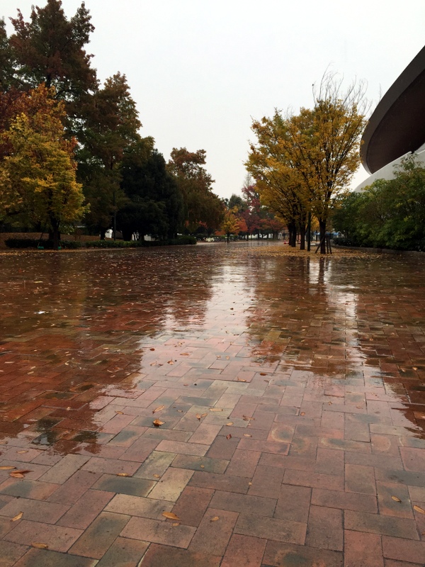 b0057140_20135385.jpg