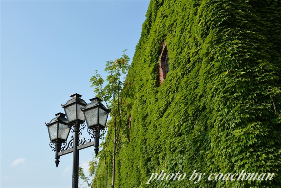 a0315942_23132268.jpg