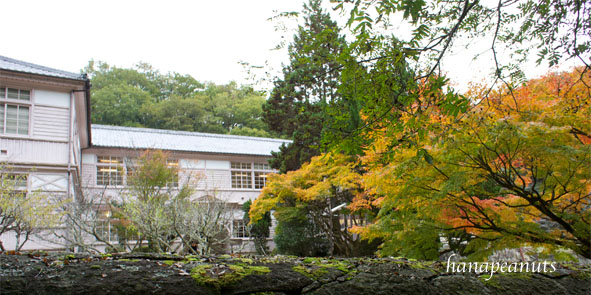 a0134245_1745998.jpg