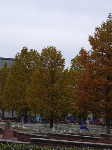 e0100046_1714451.jpg