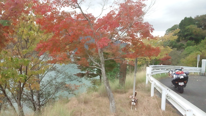 f0046250_11313474.jpg