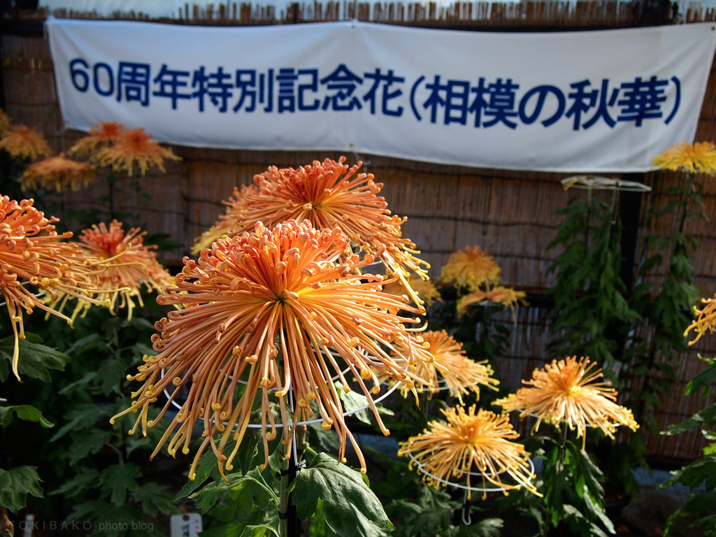 d0100156_19250357.jpg