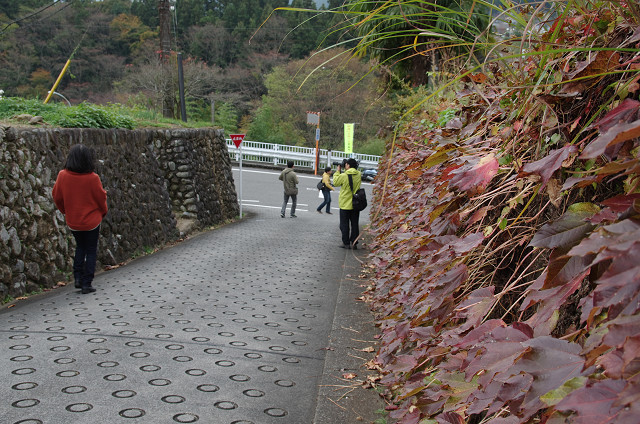 c0080357_13515330.jpg