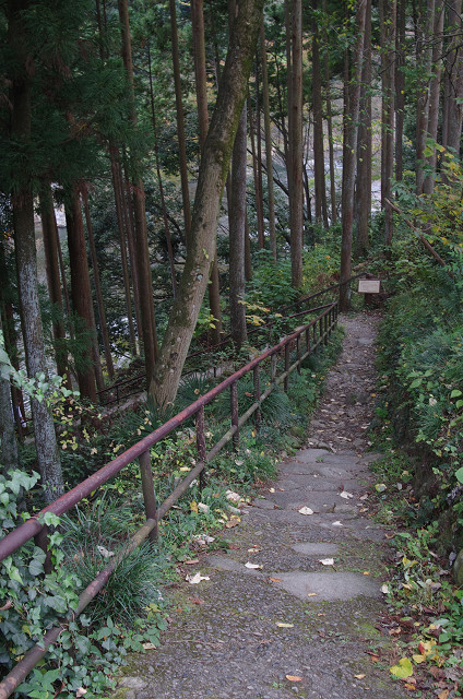 c0080357_13522135.jpg