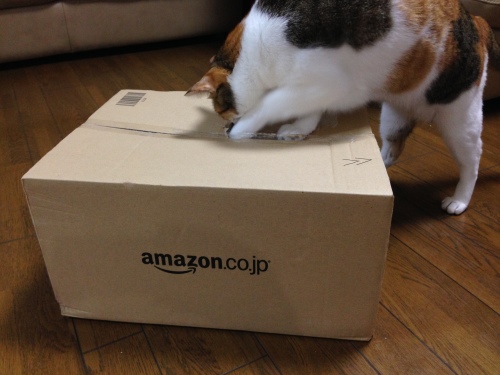 f0304957_00194855.jpg
