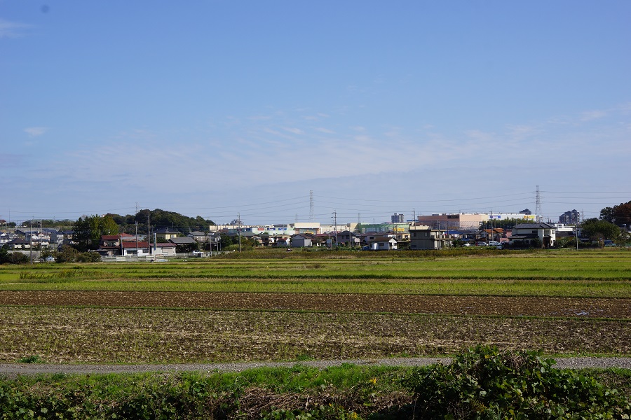 a0052762_21214969.jpg