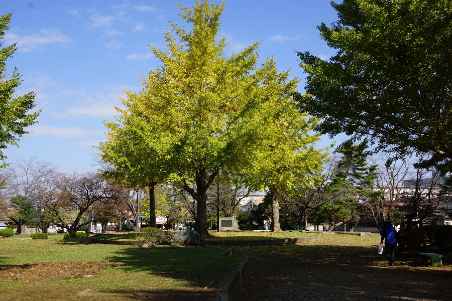 a0052762_21265597.jpg