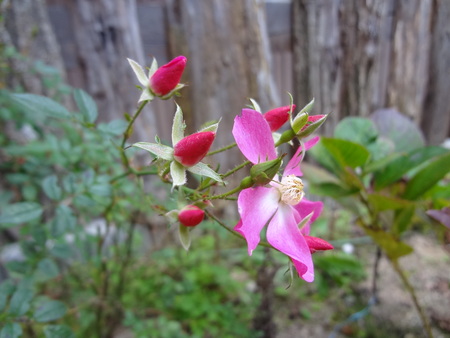b0084468_2215710.jpg