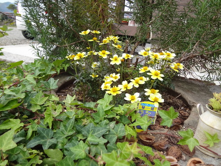 b0084468_22255483.jpg