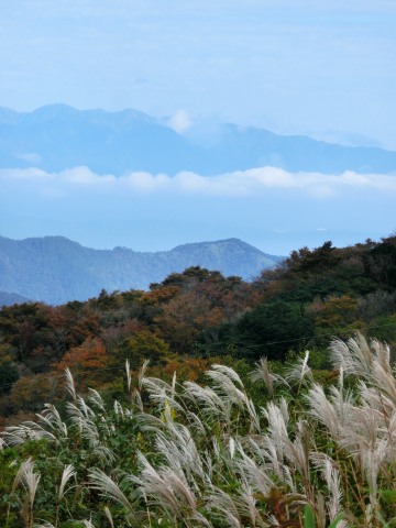 e0045768_2236717.jpg