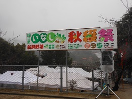 e0175370_1051228.jpg
