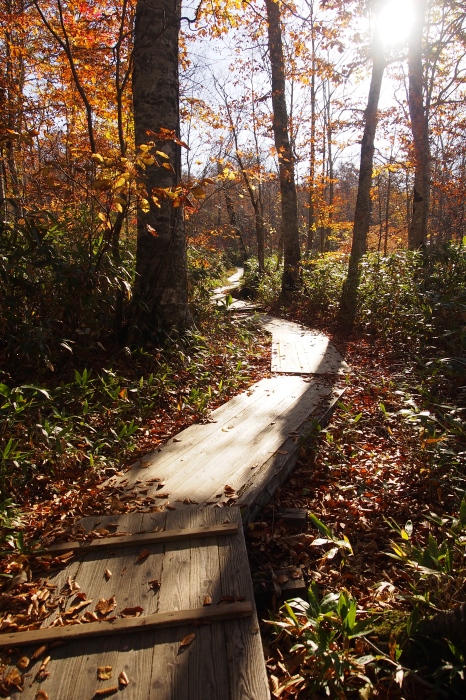 e0307372_11171602.jpg