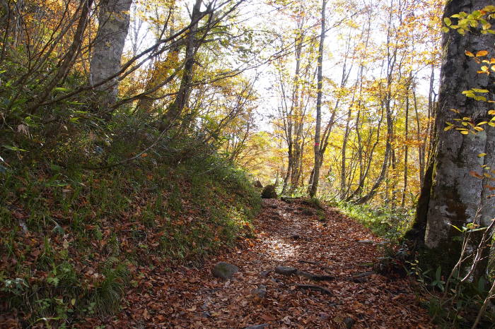 e0307372_11323849.jpg