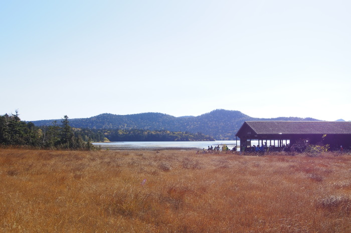 e0307372_11383653.jpg