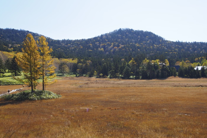 e0307372_12115649.jpg