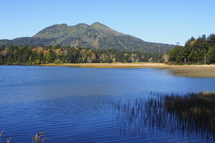 e0307372_14240394.jpg