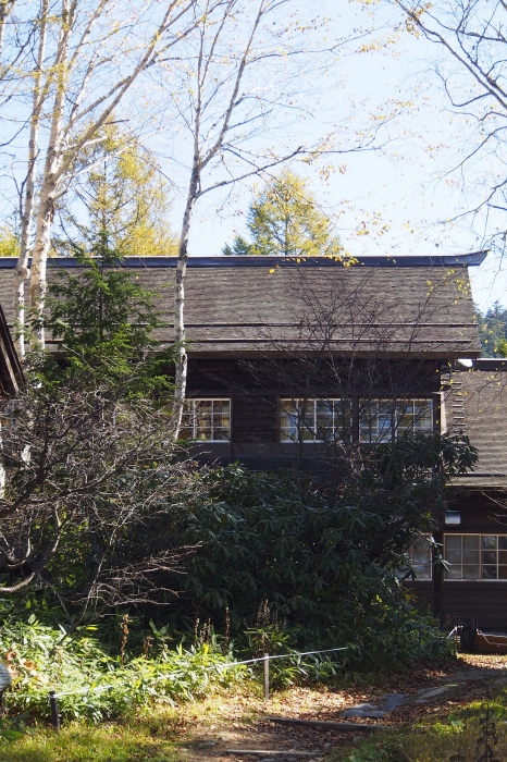 e0307372_14444051.jpg