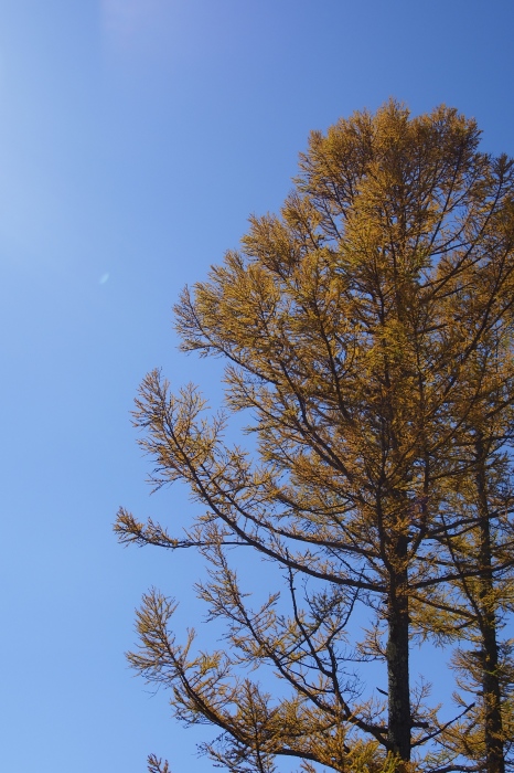 e0307372_15235731.jpg