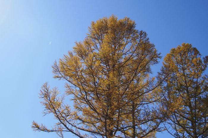 e0307372_15242396.jpg