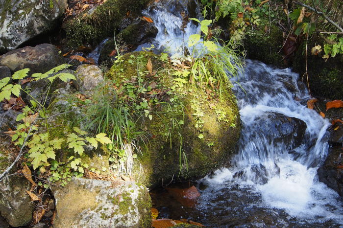 e0307372_15393727.jpg