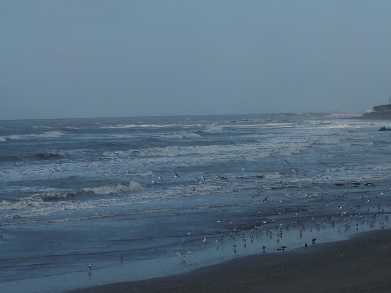 c0183777_1010941.jpg