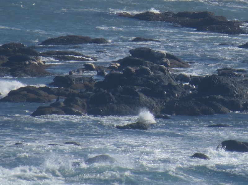 c0183777_10141295.jpg
