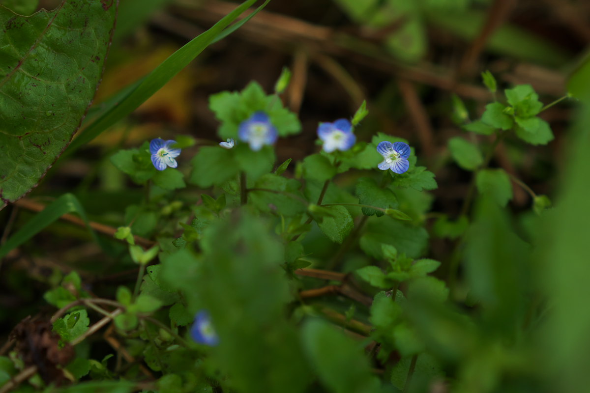a0083081_15521314.jpg