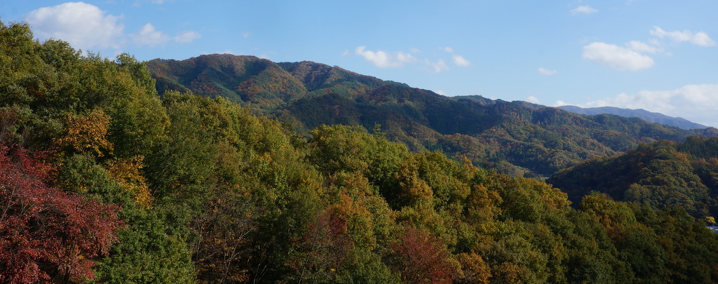 c0180686_11315939.jpg