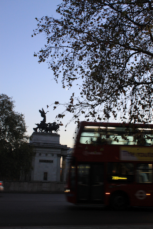 a0137487_642391.jpg