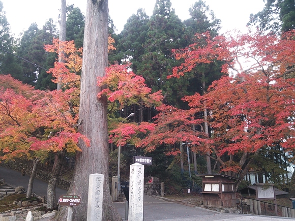 c0204188_031417.jpg