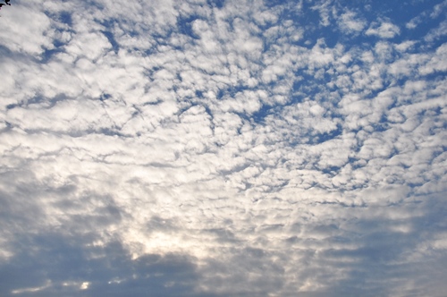 f0176499_02421402.jpg