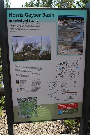 c0153302_17460356.jpg