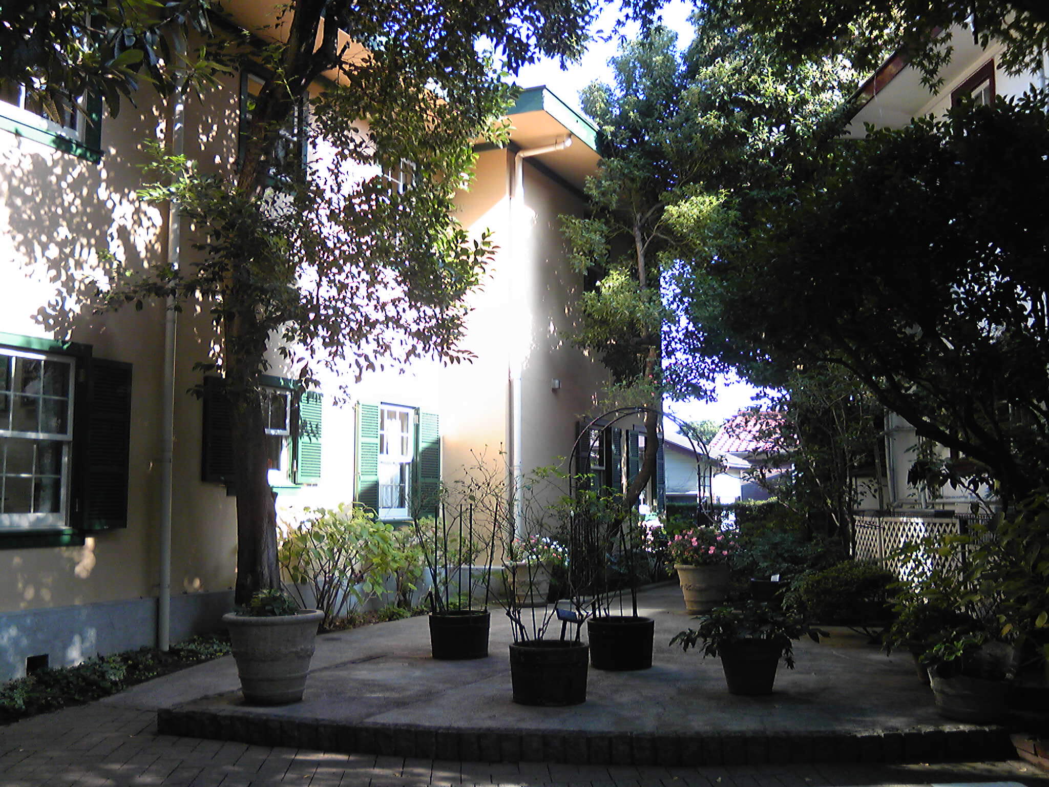 b0285619_20263567.jpg