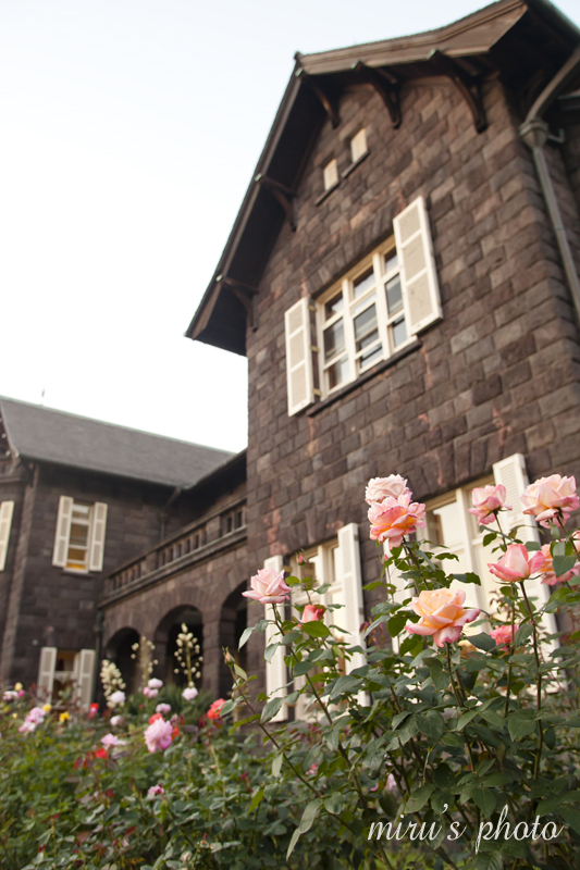 c0037519_1282224.jpg