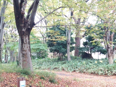 f0106823_1052242.jpg