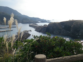 b0102728_12292496.jpg